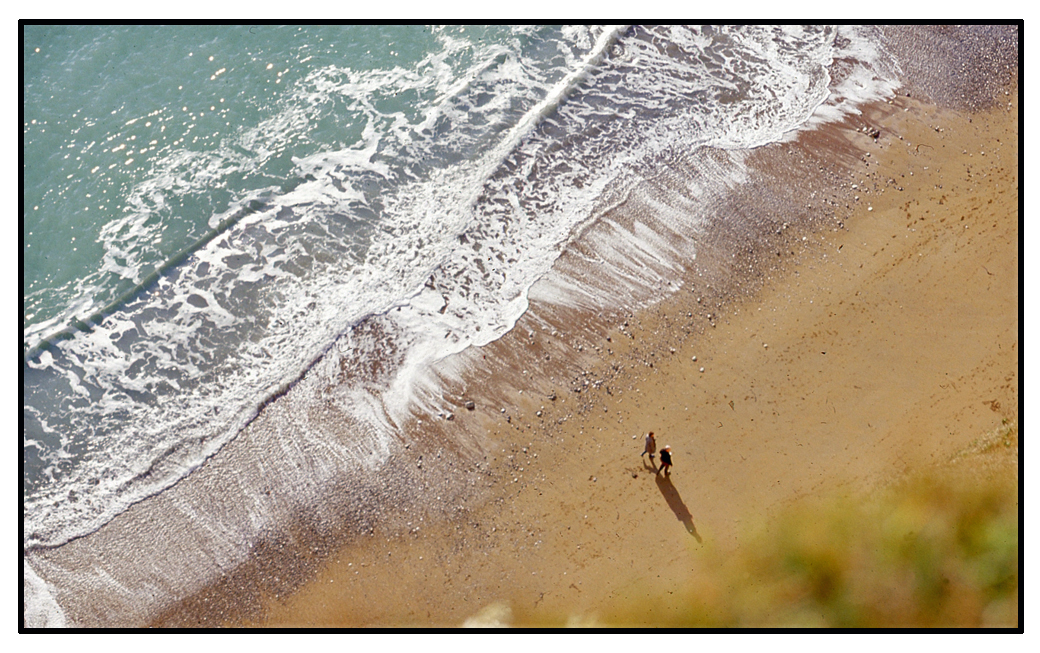 Beach walkers