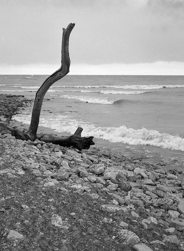 Beaches, Toronto