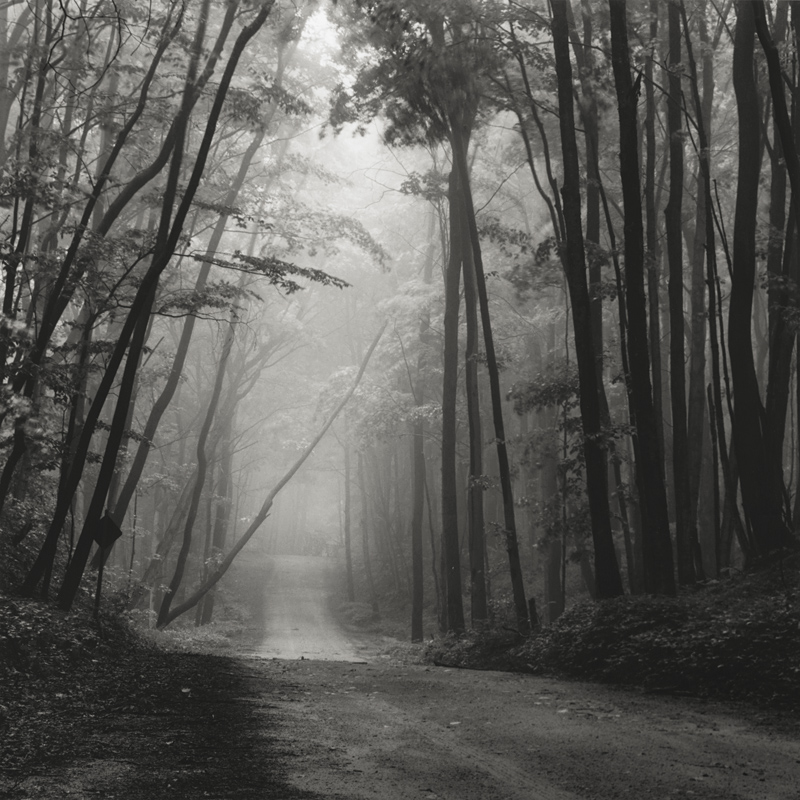 Beacon Road II