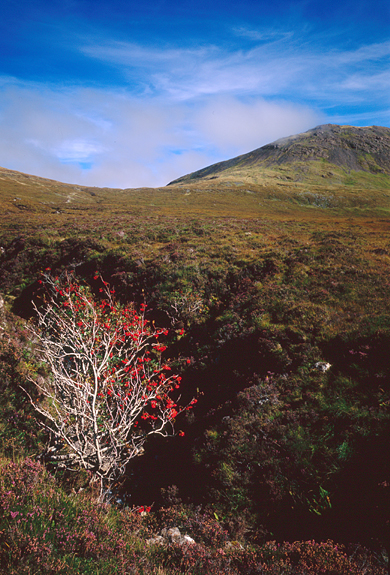 Bealach A Mhàim