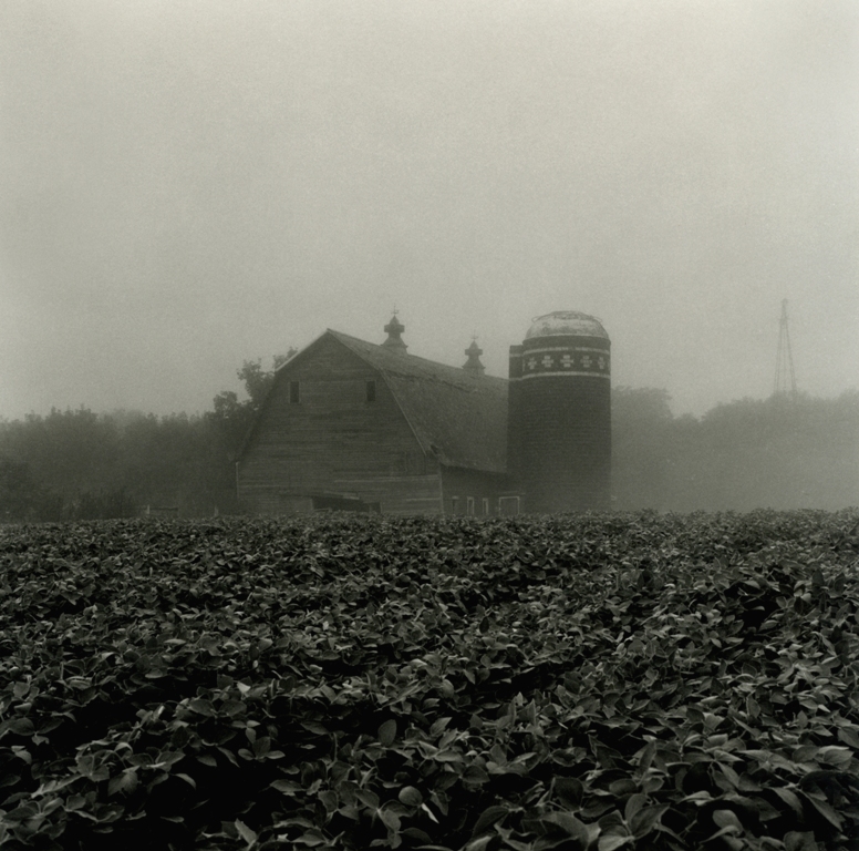 Beans & Barn