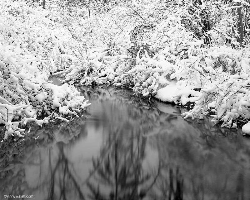bear creek