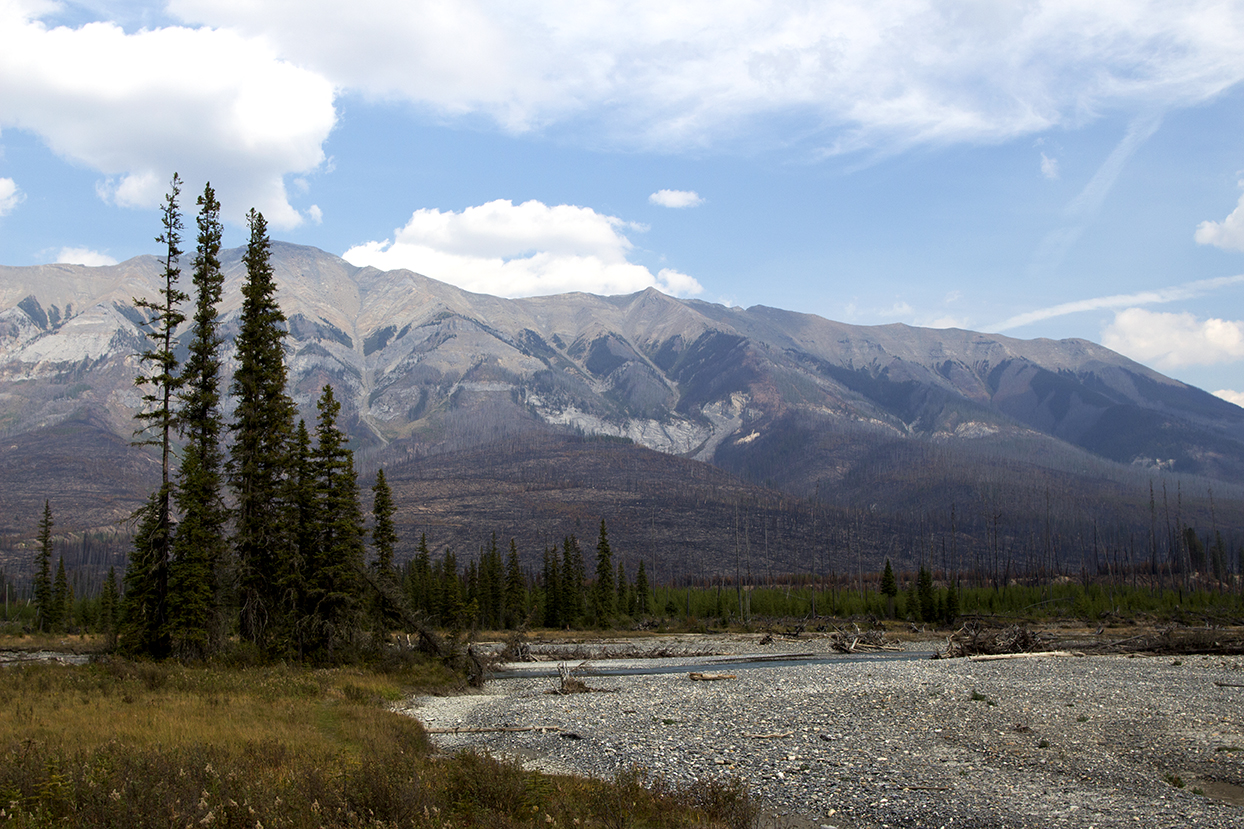 Beauty of the Verdent Creek Fire