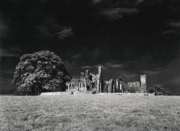 Bective Abbey