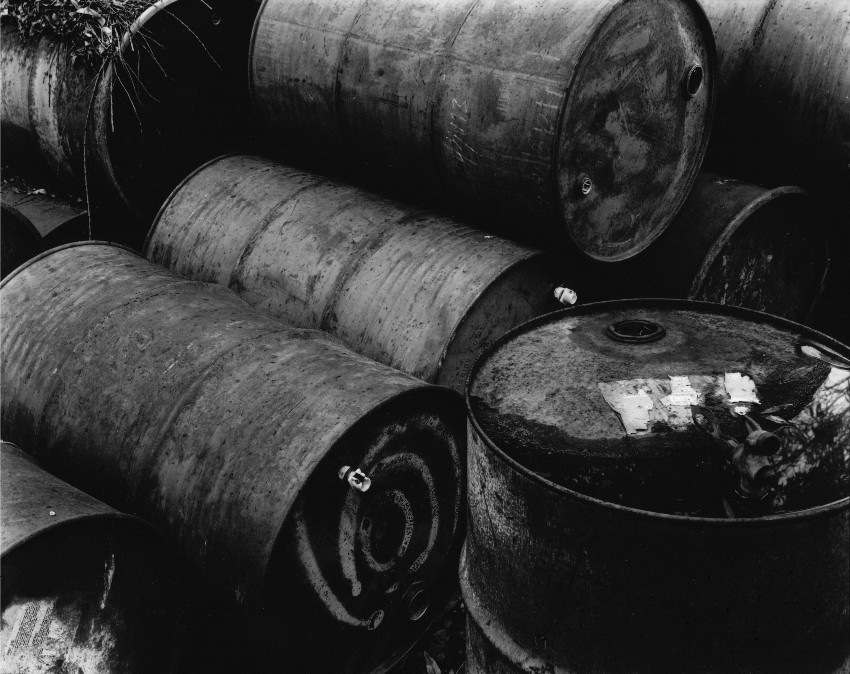 Bee Barrels