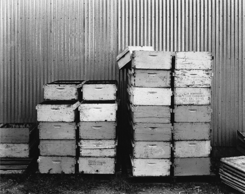 bee boxes