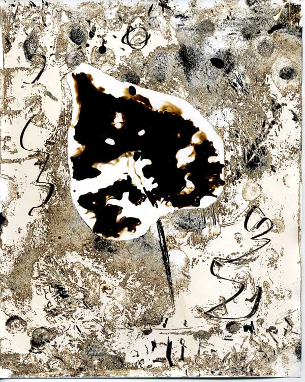 Beech Leaf -01