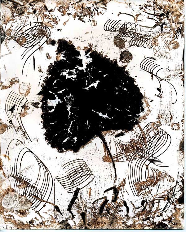 Beech Leaf -02