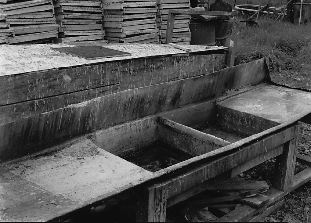 Bees' Sink
