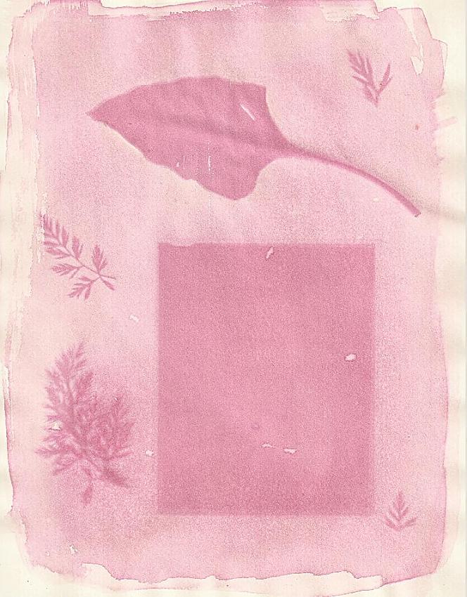 Beet#1