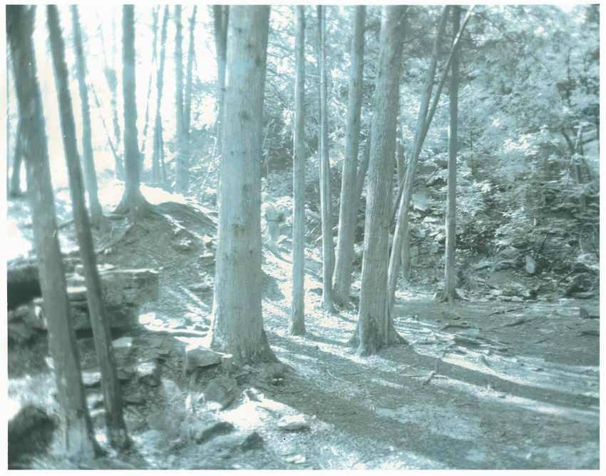 belfountain blue
