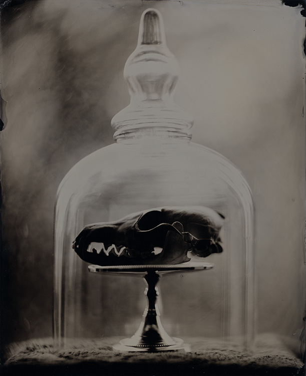 Bell Jar 2