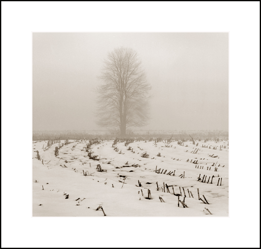 Bellevale Farm 2