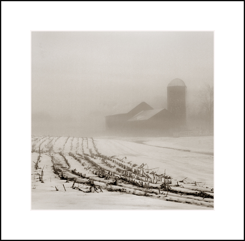 Bellevale Farm