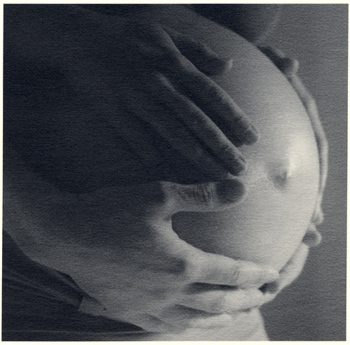 Belly On Chamois