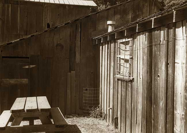 Bench, China Camp, CA