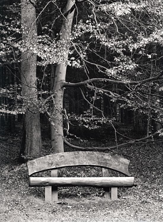 Bench, Fall
