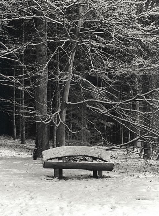 Bench, Winter