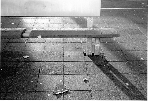 bench
