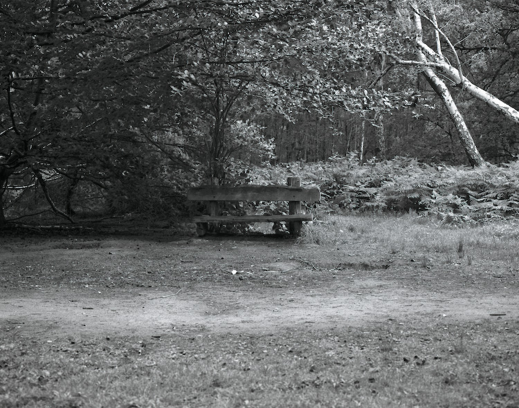 Bench