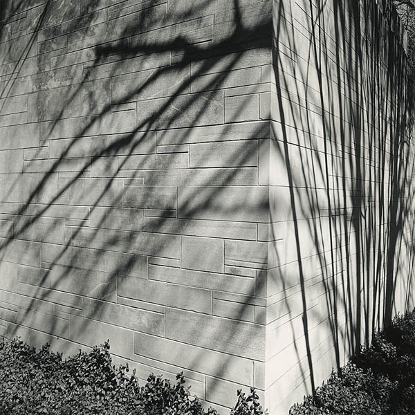 Bent Shadows