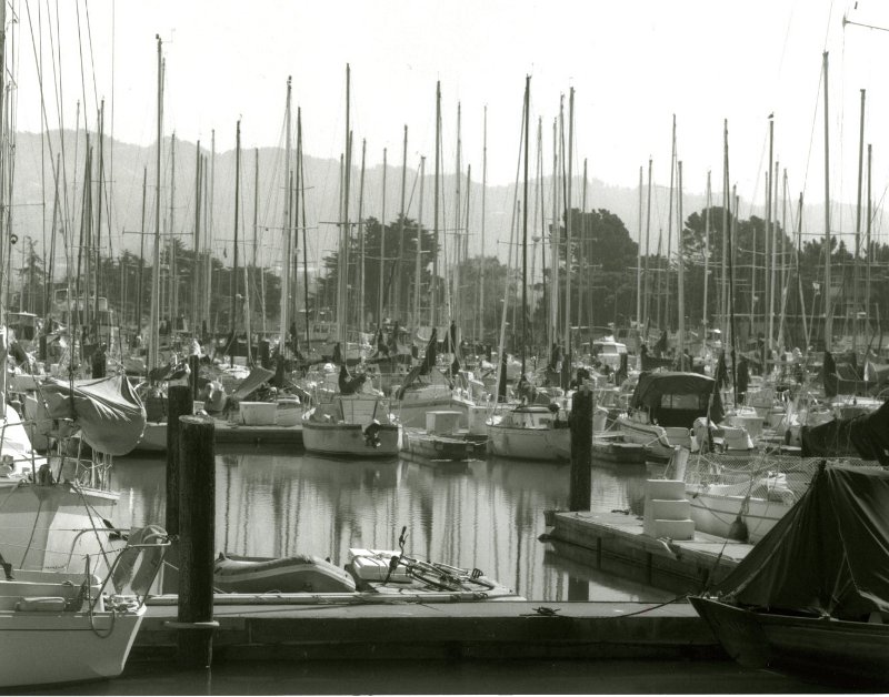 Berkeley Marina