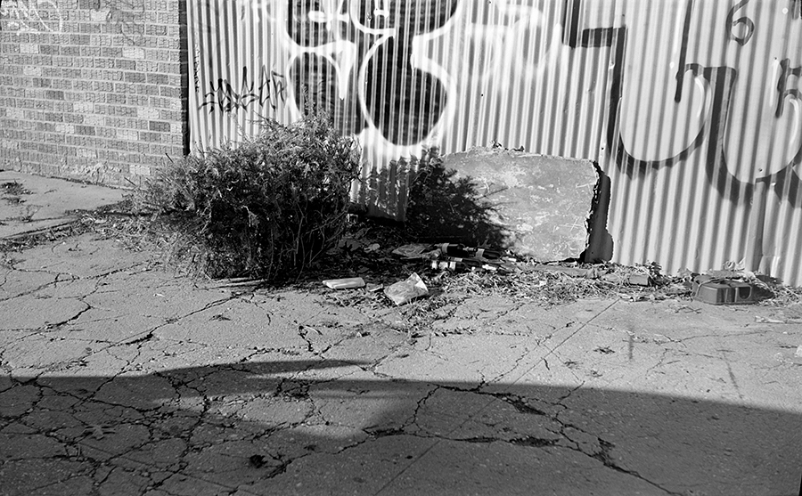 Bessa RF Test #1 - Disposed holiday tree