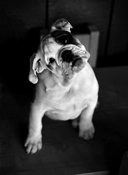 Betty