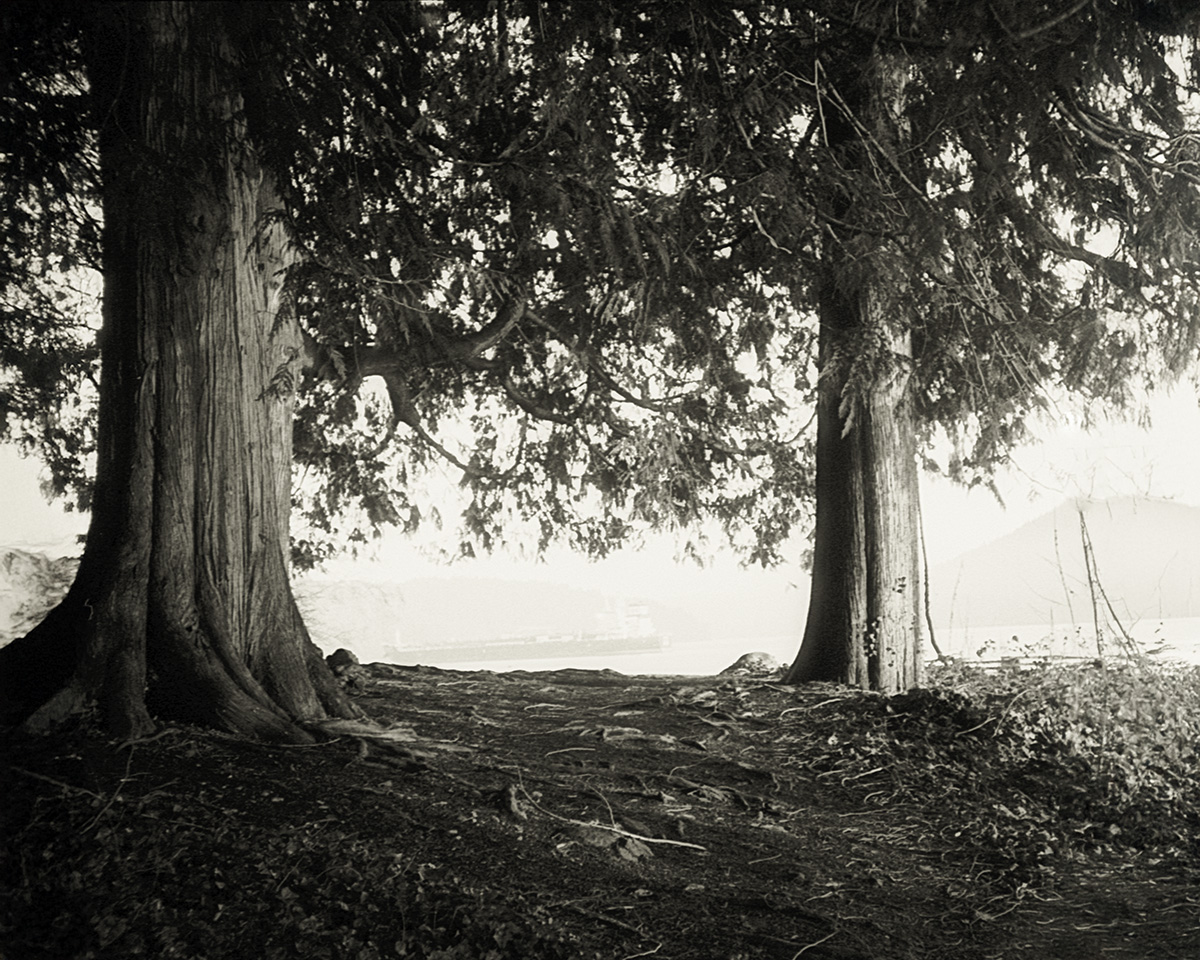 Between two trees.