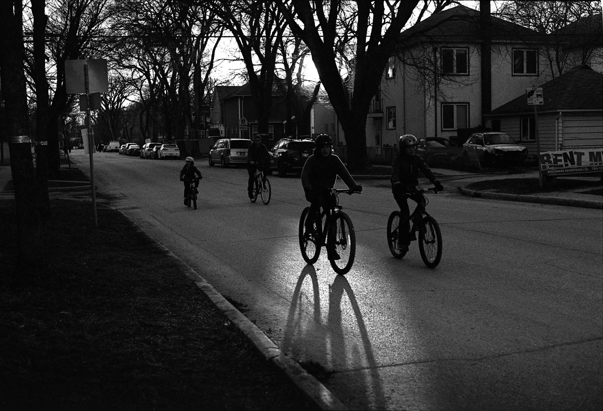 Bicycle Spotlight