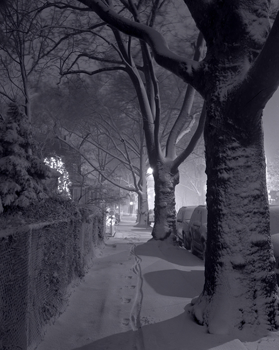 Bicycle Tracks in the Snow