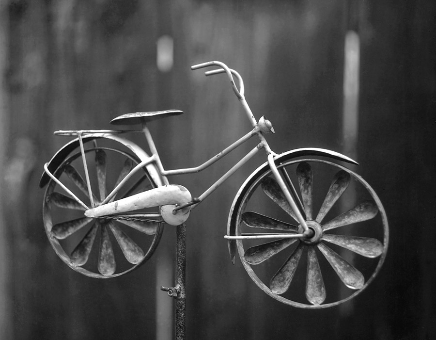 Bicycle Vane