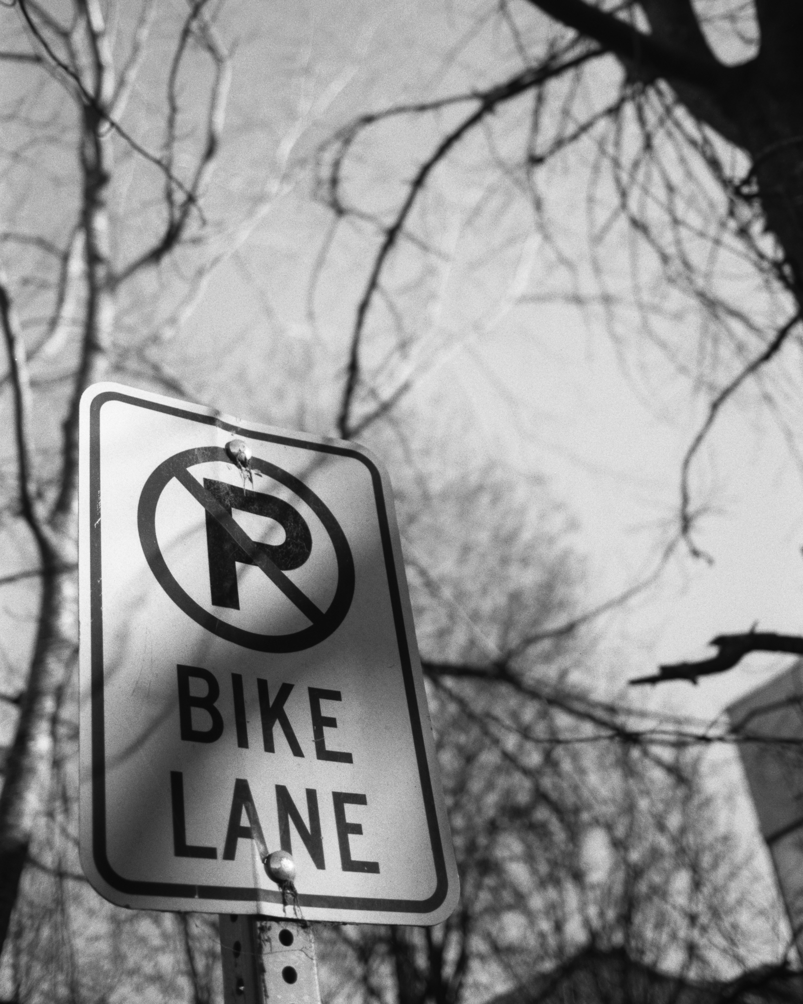 Bike Lane