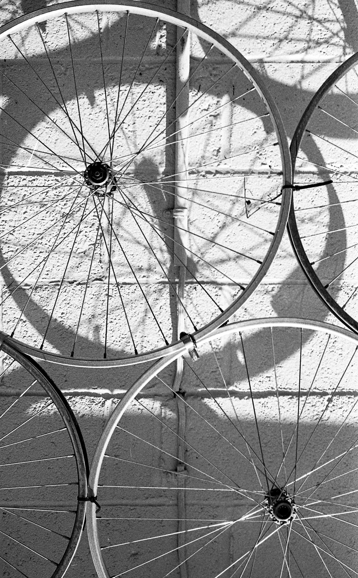 Bike Shop