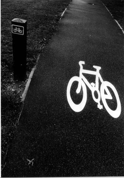 bikes