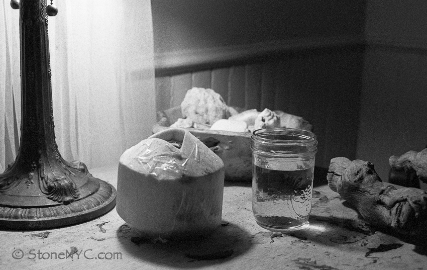 Biography Part 1 - Fresh Coconut Milk