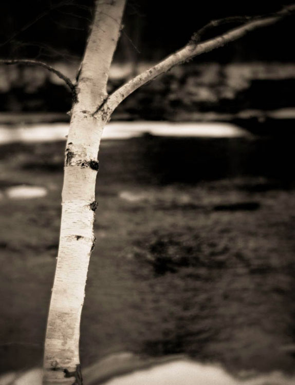 Birch and Kettle River