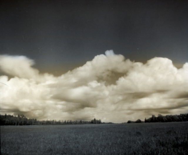 Birch Bay pinhole