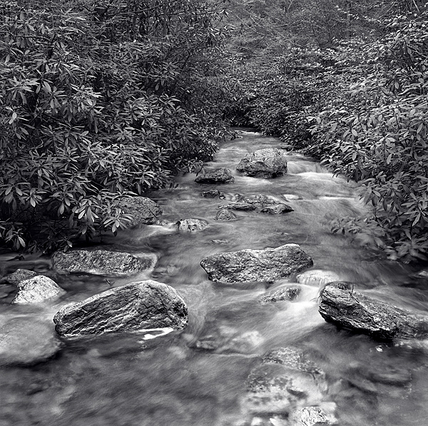 Birch Run