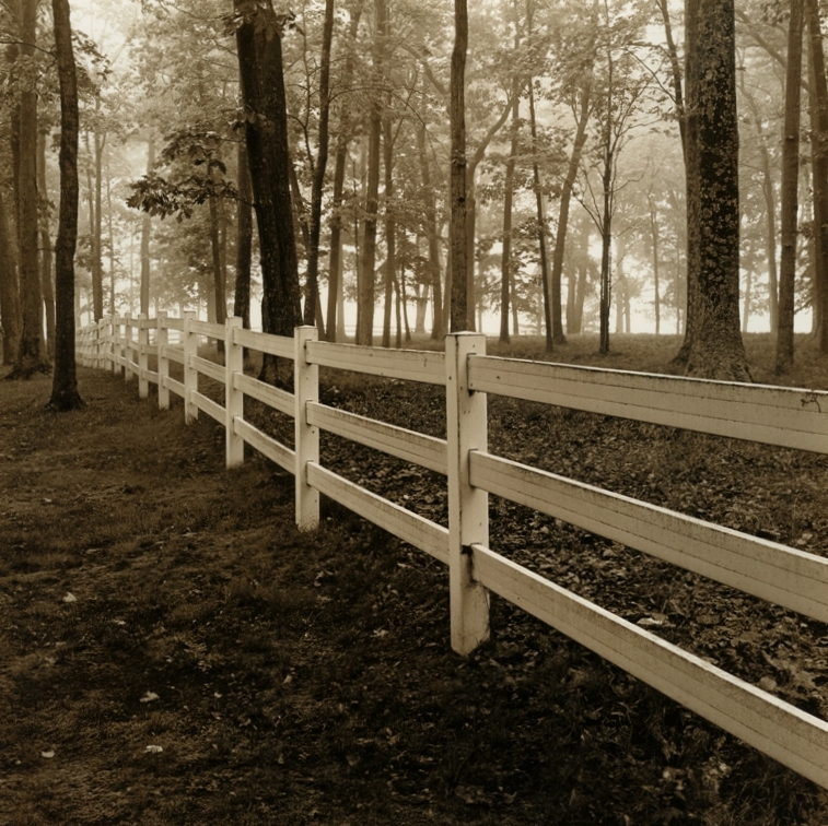 Birchwood Farms