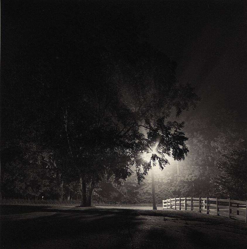 Birchwood Inn Fog (print)