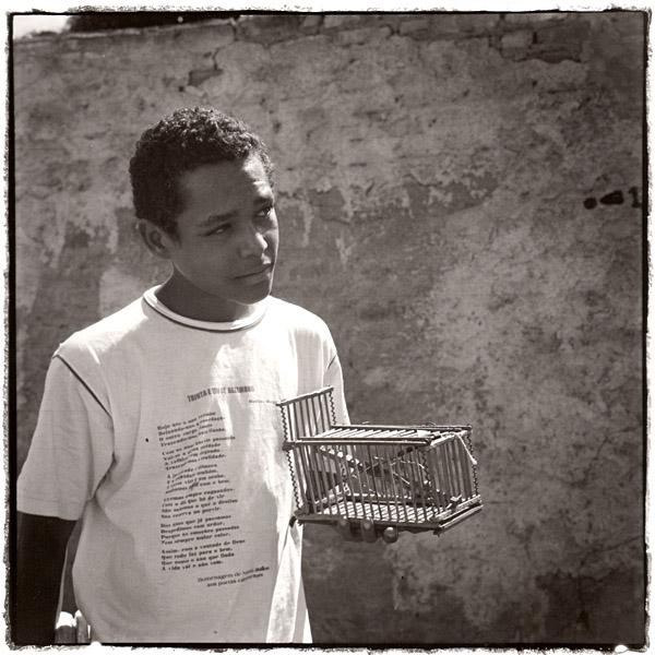 Bird catcher