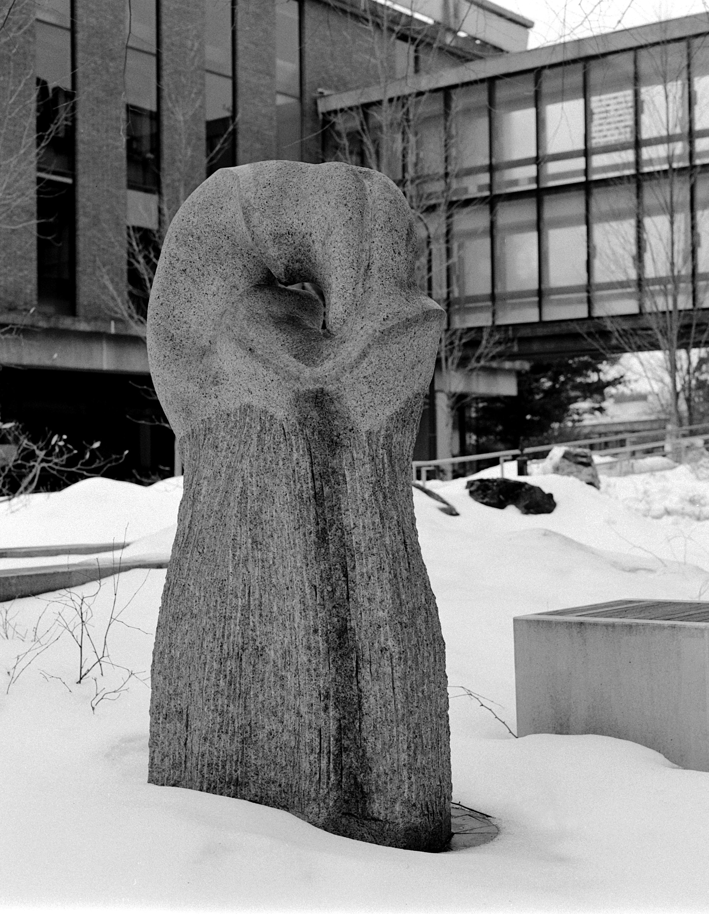 Bird face - from MSA 03/26: Rocks