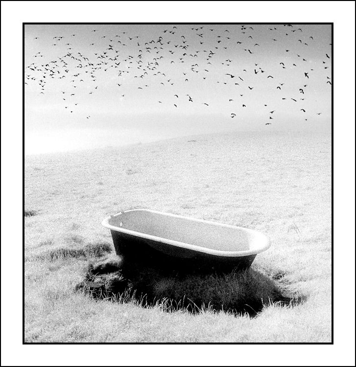 BIRDBATH