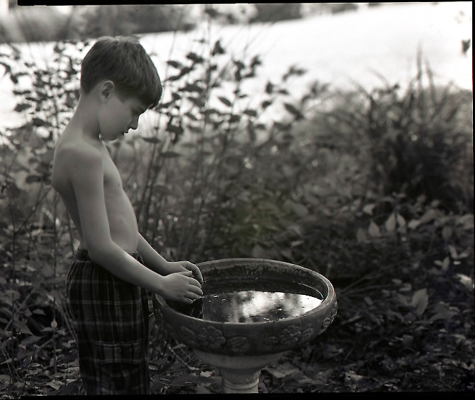 Birdbath