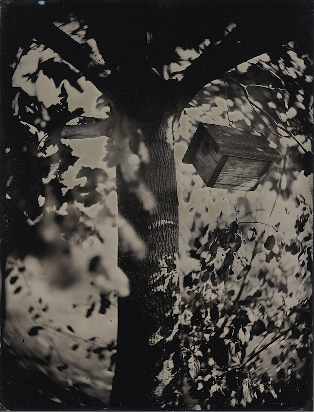 Birdhouse 1