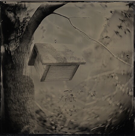 Birdhouse