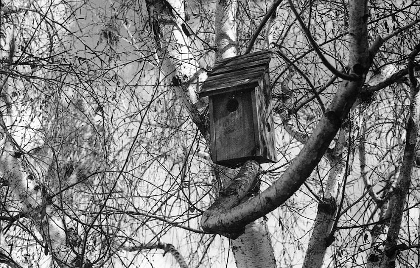 Birdhouse