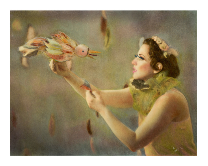 Birds - Hand colored lith print