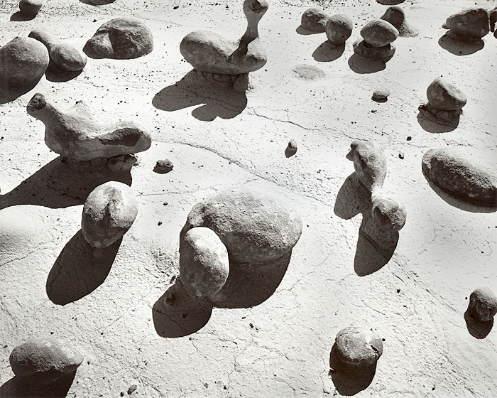Bisti Badlands